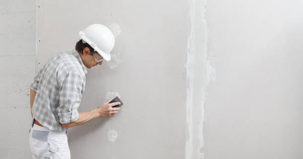 Best Mold Odor Removal Services  in Independence, LA