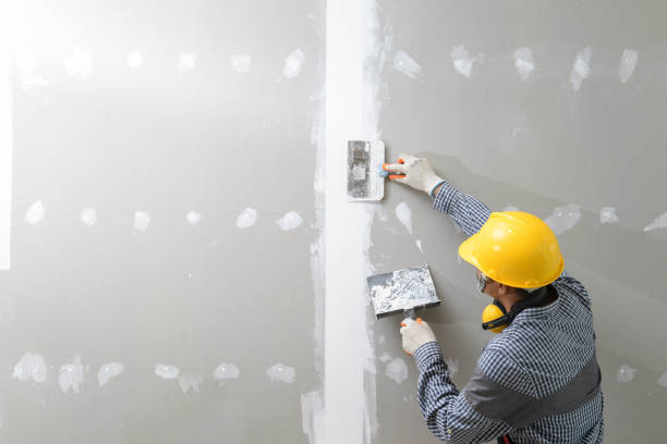 Best Mold Removal for HVAC Installations  in Independence, LA