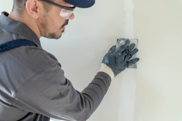 Best Crawl Space Mold Remediation  in Independence, LA