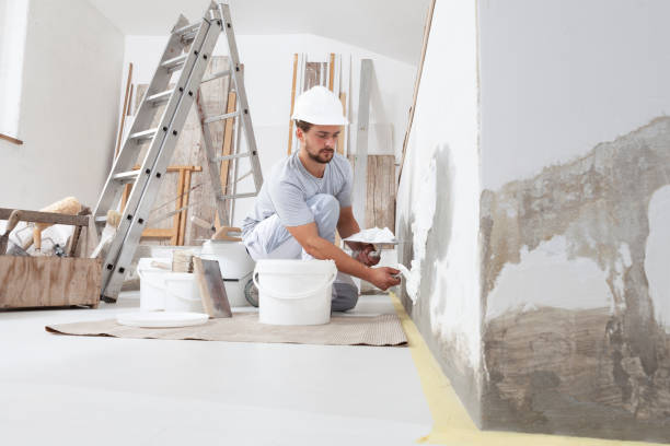 Mold Remediation for Rental Properties in Independence, LA
