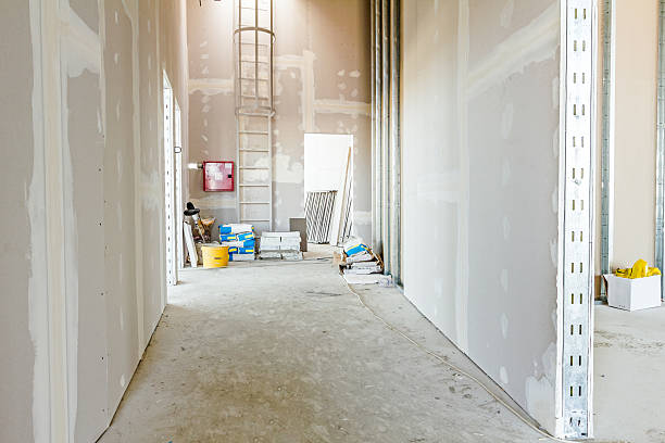 Best Mold Documentation for Insurance Claims  in Independence, LA