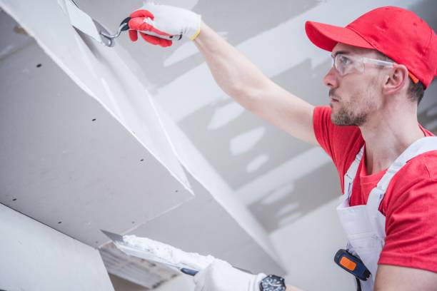 Best Emergency Mold Remediation  in Independence, LA